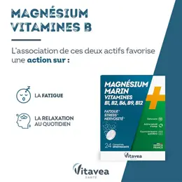 Vitavea Magnésium Vitamines B1,B2,B6 Détente 24 comprimés effervescents