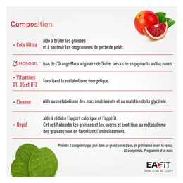 EAFIT MINCEUR ACTIVE - Calories Stop 1200 - Perte de poids - Au Morosil -  60 Comprimés