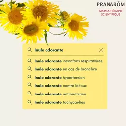 Pranarom Huile Essentielle Bio Inule Odorante 5ml