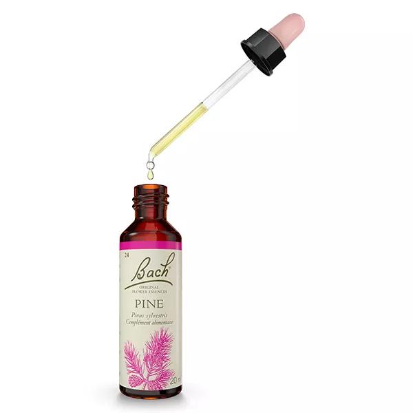 Bach pino 24 - flor de pino de Scots 20ml