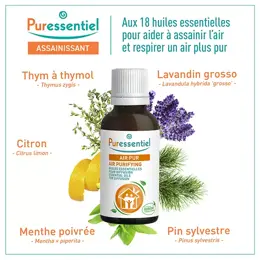 Puressentiel Diffusion Mélange Huiles Essentielles Diffuse Air Pur 30ml