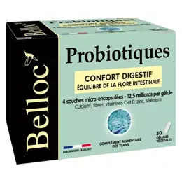 Belloc Probiotiques Confort Digestif Lot de 2 x 30 gélules