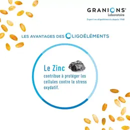 Granions Prostate 40 gélules