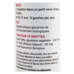 Oemine Macérât Glycériné Framboisier Bio 30ml