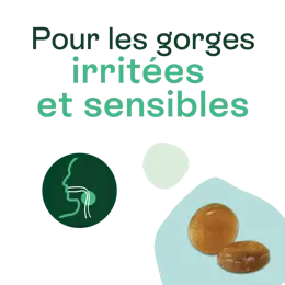 Naturactive VoxylTabs pastilles gorge irritée senssible 24 pastilles sans sucre