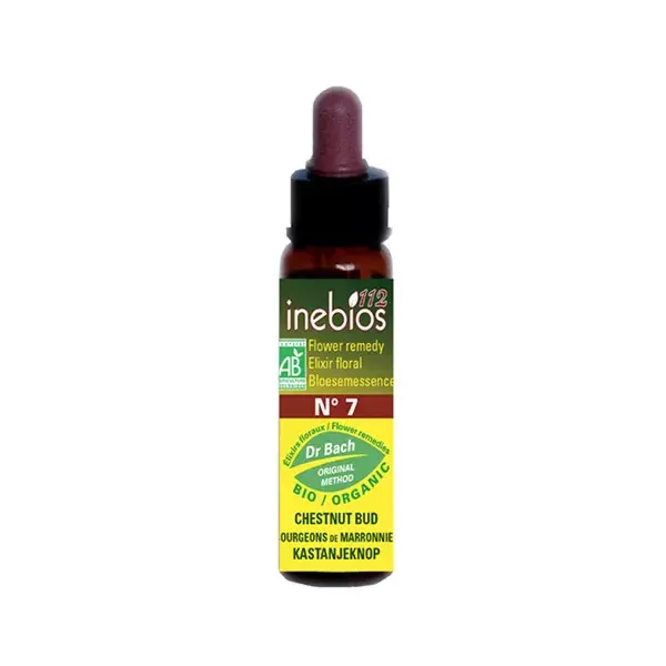 Inebios Fleur de Bach n°7 Chestnud Bud - Bourgeons de Marronier Bio 10ml