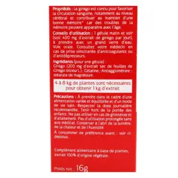 Naturactive Ginkgo 60 gélules