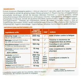 Lehning Phyto Tonus 40 comprimés