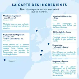 Nutri&Co Magnésium + Vitamine B6 Stress et Tonus 120 gélules Vegan