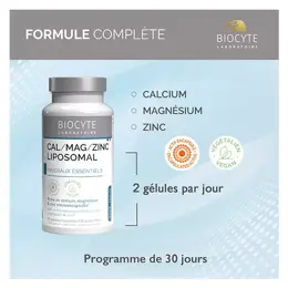 Biocyte Cal Mag Zinc Liposomal 60 gélules