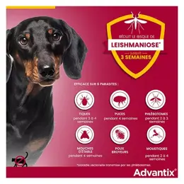 Advantix Chien Solution Antiparasitaire Très Petite Race 1,5 à 4kg 4 pipettes