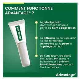 Advantage Solution Antipuce Chat Lapin +4kg 4 pipettes