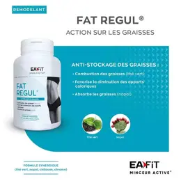 Eafit Fat Regul Minceur Active 90 comprimés