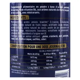 Apurna BCAA 4.1.1. Fruits Rouges 400g