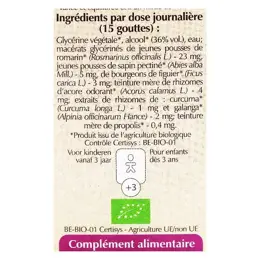 Herbalgem Complexe de Gemmothérapie Cologem Confort Intestinal Bio 30ml