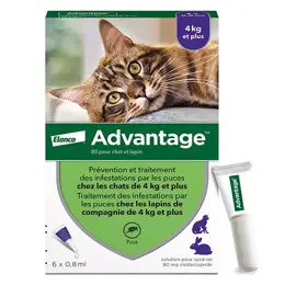 Advantage Solution Antipuce Chat Lapin +4kg 6 pipettes