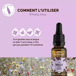 Biofloral Fleur De Bach 15 Holly Houx Compte Gouttes Bio Demeter 20 ml