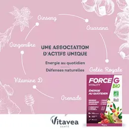 Vitavea Force G Vitality Bio Energie au quotidien 20 ampoules