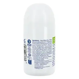 Natessance Déodorant Bio Rechargeable 24h Verveine Roll-on 50ml