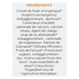 Fitoform Stoma Régul Bio 45 comprimés