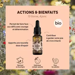 Biofloral Fleur De Bach 13 Gorse Ajonc Compte Gouttes Bio Demeter 20 ml