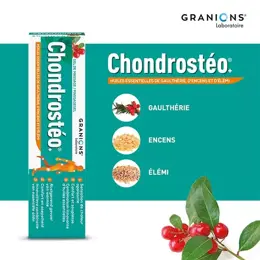 Granions Chondrostéo Gel de Massage 100ml