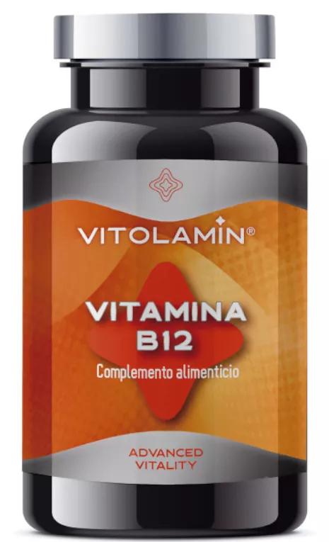 Vitolamine Vitamine B12 100 µg 365 Comprimés