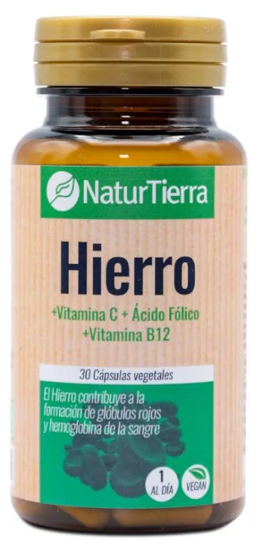 NaturTierra Iron 30 Vegetable Capsules