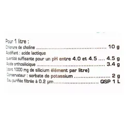 Nat & Form Original Solution Organique de Silice 7% 1L