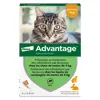 Advantage Solution Antipuce Chat Lapin 1 à 4kg 4 pipettes