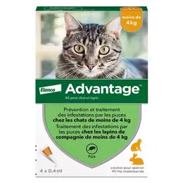 Advantage Solution Antipuce Chat Lapin 1 à 4kg 4 pipettes