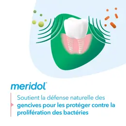 Meridol Bain de Bouche Haleine Sûre 400ml