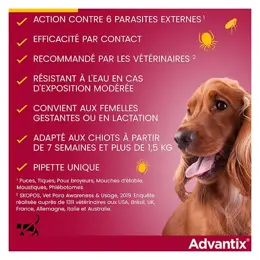 Advantix Chien Solution Antiparasitaire Très Petite Race 1,5 à 4kg 4 pipettes