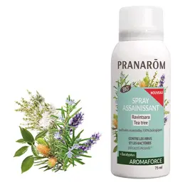 Pranarom Aromaforce Spray Assainissant Ravintsara Tea Tree Bio 75ml