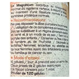 Santé Silice Probioniques Soufre Biogénique 120 gélules