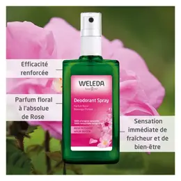 Weleda Rose Musquée Déodorant Bio 100ml