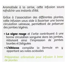 Vitavea - BioNutrisanté - Infusion froide Jambes légères - 20 sachets