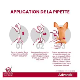 Advantix Chien Solution Antiparasitaire Race Moyenne 10 à 25kg 4 pipettes