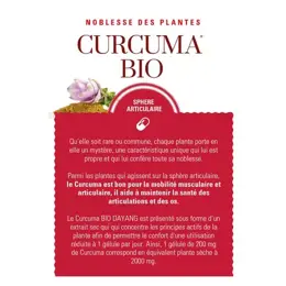 Dayang Curcuma Bio Sphère Articulaire 15 gélules