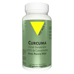 Vit'all+ CURCUMA Extraits Standardisés avec POIVRE NOIR 120 gélules végétales