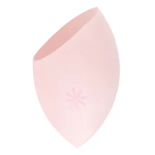 Brushworks Wonder Sponge HD