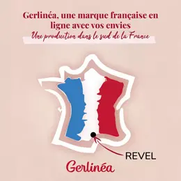 Gerlinéa Repas Minceur Crème Chocolat 540g