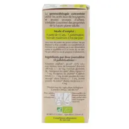 Herbalgem Complexe de Gemmothérapie Rinalgem Respiration Spray Bio 30ml