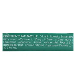 Naturactive VoxylTabs 24 pastilles sans sucre