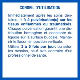 Hyalugel Gel Buccal Lésions Buccales Sévères et Douloureuses Tube 8ml