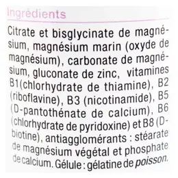 Nutergia Ergymag Magnésium 90 gélules