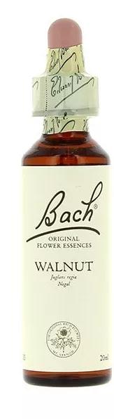 Bachblüten 33 Walnuss Walnuss 20 ml