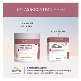 Biocyte Collagen Max Superfruits Anti-Age Collagène Acide Hyaluronique 260g