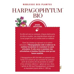 Dayang Harpagophytum Bio 15 gélules végétales