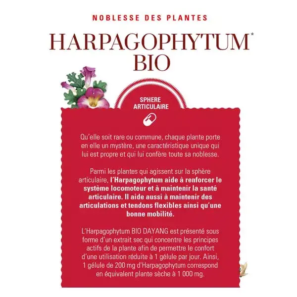 Dayang Harpagophytum Bio 15 cápsulas vegetales